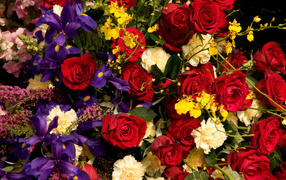 Розы, ирисы, гвоздики, орхидеи крупным планом