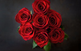 Семь алых роз в букете