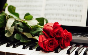 Три красные розы лежат на клавишах пианино с нотами