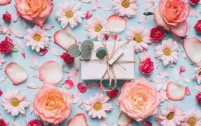 Сорванные цветы розы и хризантемы на столе с подарком 