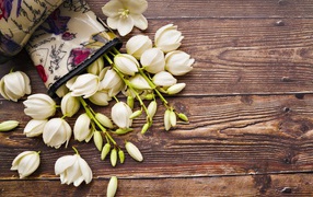 Белые цветы на деревянном фоне