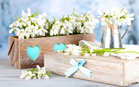 Красивые нежные белые подснежники в деревянном ящике