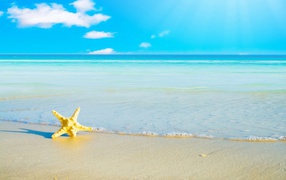 Морская звезда на белом песке у моря под голубым небом