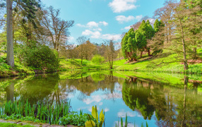 Зеленые деревья отражаются в воде озера весной