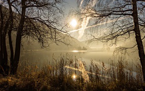 Весеннее солнце в небе над прудом