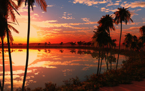 Красивый закат солнца на тропическом пляже