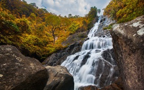 Водопад стекает со скалы на фоне леса осенью