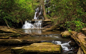 Водопад стекает по камням в лесу