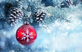 Красивый елочный шар на покрытой инеем еловой ветке