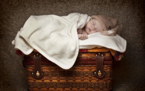 A baby breast is sleeping on a wicker basket
