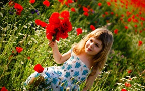 Милая маленькая девочка с букетом красных маков