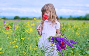 A little girl gathers wild flowers on the field.