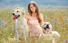 Beautiful girl with dogs in the field
