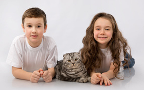 Мальчик и девочка с шотландским котом на сером фоне