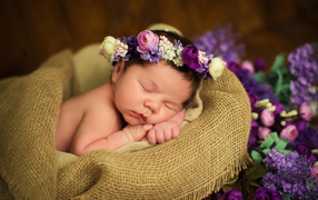 Cute sleeping baby with a wreath on his head