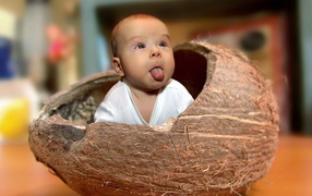 Прикольный ребенок сидит в кокосовом орехе
