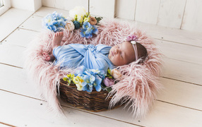 Маленький грудной ребенок спит в плетеной корзине 