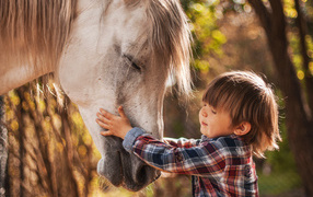 Маленький мальчик дружит с белой лошадью 