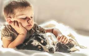 Little boy is lying with a dog and a cat