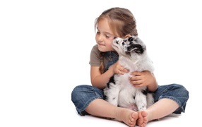 Маленькая девочка обнимает щенка на белом фоне