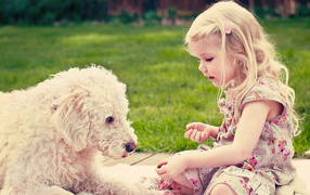 Маленькая девочка играет с собакой на траве