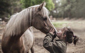Маленькая девочка целует коня