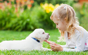 Маленькая девочка лежит на зеленой траве с щенком золотистого ретривера