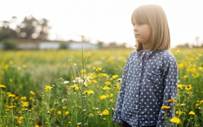 Little girl on the field with yellow wildflowers