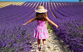 Little girl walking through the field with lavender