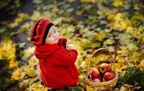 Маленькая девочка с корзиной яблок осенью