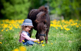 Маленькая девочка с пони сидит на поле с одуванчиками