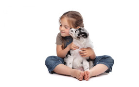 Маленькая девочка с щенком на белом фоне