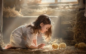 Маленькая девочка с утятами в сарае 