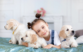 Маленькая девочка со щенками золотистого ретривера