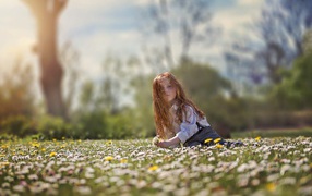 Little red-haired girl sitting on the field with white daisies