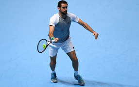 Хорватский теннисист Марин Чилич отбивает мяч ракеткой