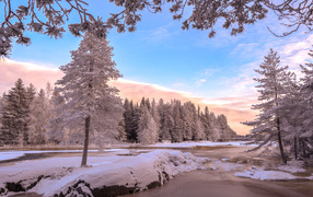 Красивые покрытые инеем деревья у реки под голубым небом зимой