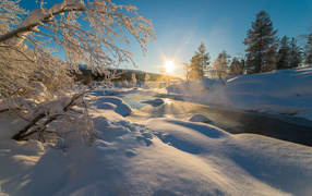 Берега с заснеженными деревьями у реки под ярким зимним солнцем