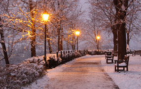 Заснеженные деревья и кусты у дороги в зимнем парке