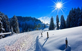 Солнечный зимний день над заснеженным лесом у дороги