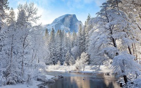 Зимняя река у покрытого инеем леса у гор 