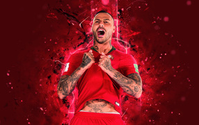 Portuguese football player Ricardo Quaresma on red background