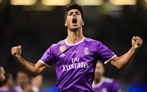 Spanish footballer Marco Asensio screams on the pitch