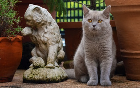 Серый британский кот сидит у статуэтки кота