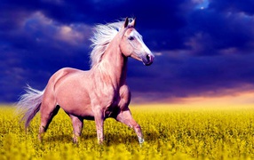A beautiful brown horse gallops through the yellow flowers.