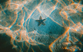 Starfish lies at the bottom in the water