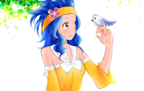 Персонаж Levy McGarden аниме Хвост Феи