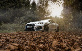 Автомобиль Audi RS5 стоит в лесу на опавших листьях 