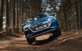 Синий внедорожник Audi E-Tron 55 Quattro 2019 в лесу
