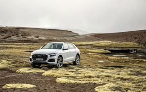 Белый  внедорожник Audi Q8  на бездорожье 